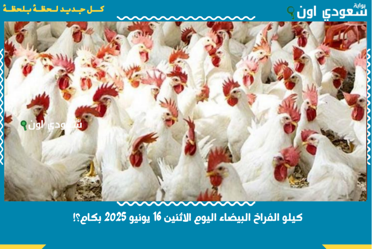 كيلو الفراخ البيضاء اليوم الاثنين 16 يونيو 2025 بكام؟!